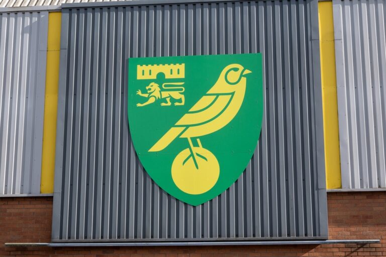 Big sale puts Norwich City ace back on agenda