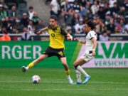 Southampton offer for central defender can see January transfer happen Luca Reggiani in action for BVB